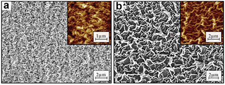 SEM and AFM (insets) images of (a) Teflon wrinkles on Polyshrink and (b) Teflon wrinkles on shrink w