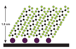 Self-assembled monolayer of perfluorinated molecules