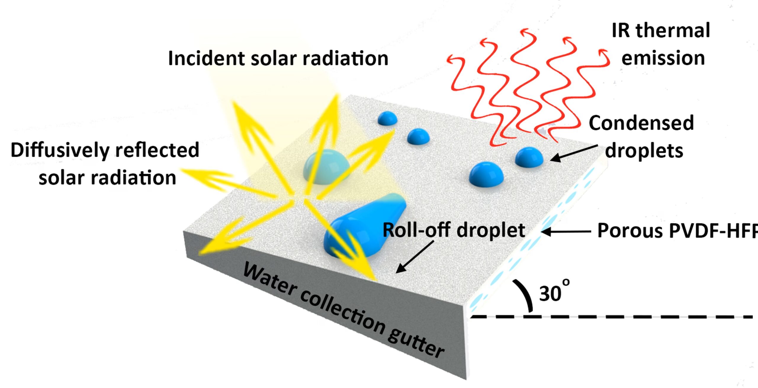 Cool Roofs, Cooler Cities: Neto Group’s Paint Innovation Combats Urban Heat